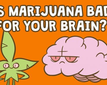 Is marijuana bad for your brain? – Anees Bahji