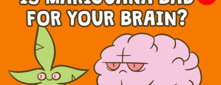 Is marijuana bad for your brain? – Anees Bahji Is marijuana bad for your brain? – Anees Bahji